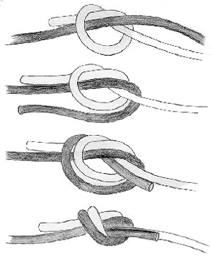 Bungie Knots