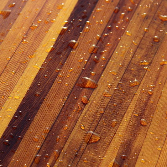 The Varnished Kayak