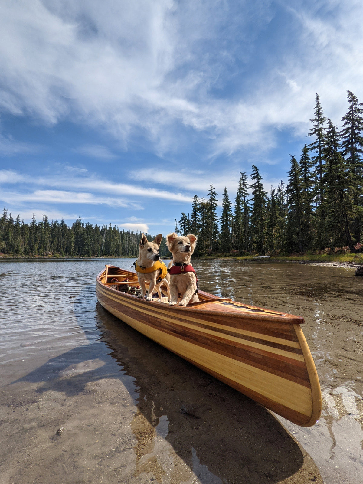 Kristina M asked her dogs to keep watch on their Mystic River Canoe as they are beached on Waldo Lake in Oregon.