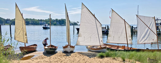 Which Small Boat Sailing Rig for Me?