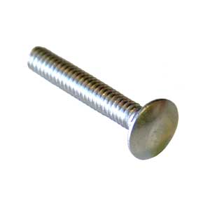 1/4"-20 SS Carriage Bolts