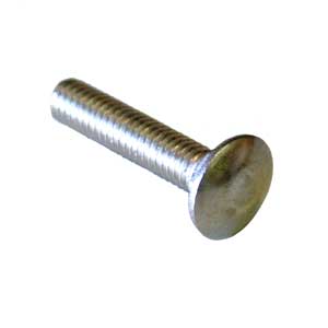 5/16" SS Carriage Bolts