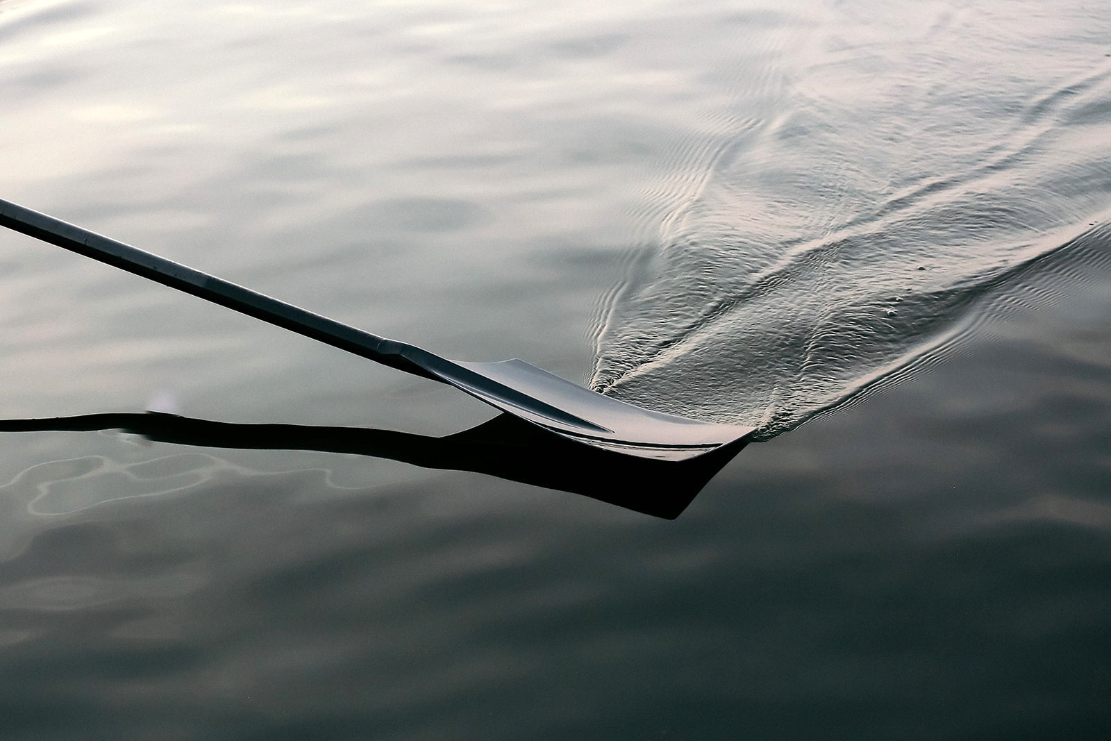 Sculling Oars by Dreher