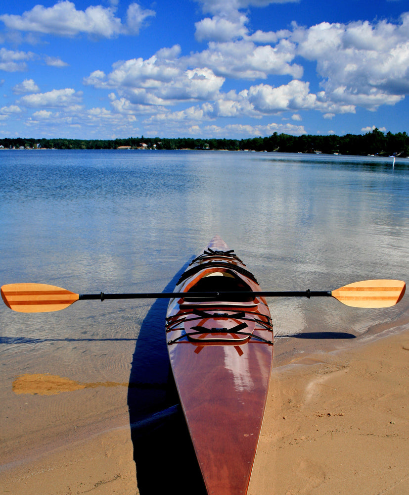 Jon B's Chesapeake 17 beached at Sand Lake, MI