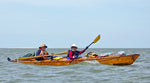 A couple paddling a fully loaded Chesapeake Double wooden kayak built by William R. Thumbnail