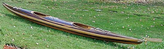 Guillemot Double