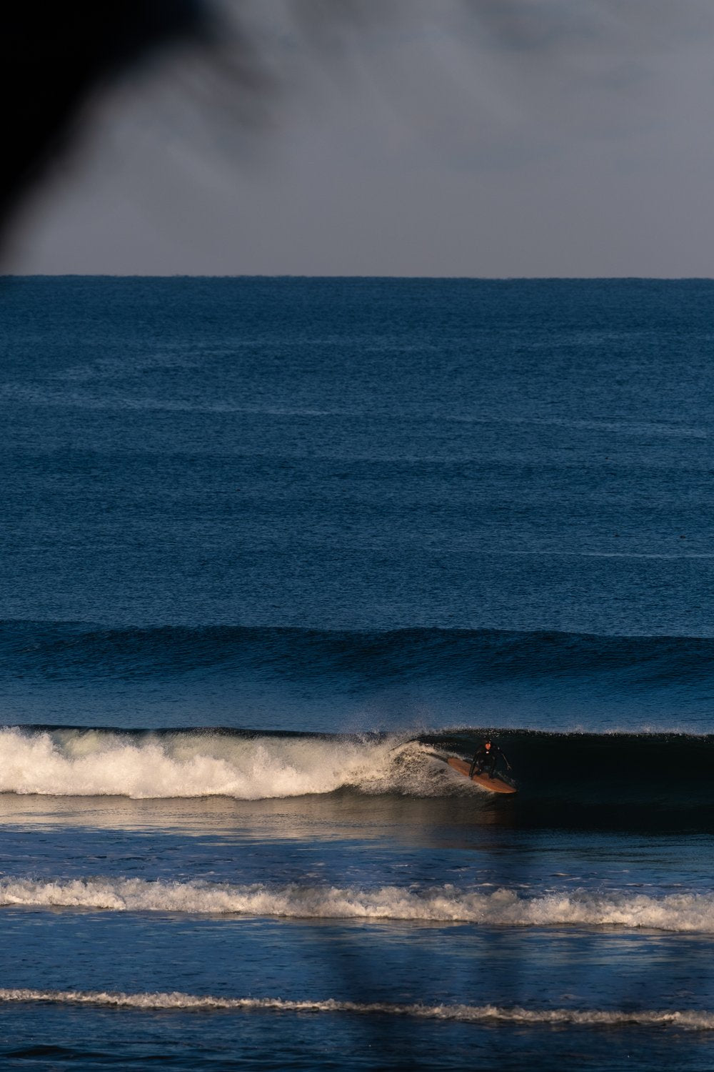 Grain's Root Surfboard