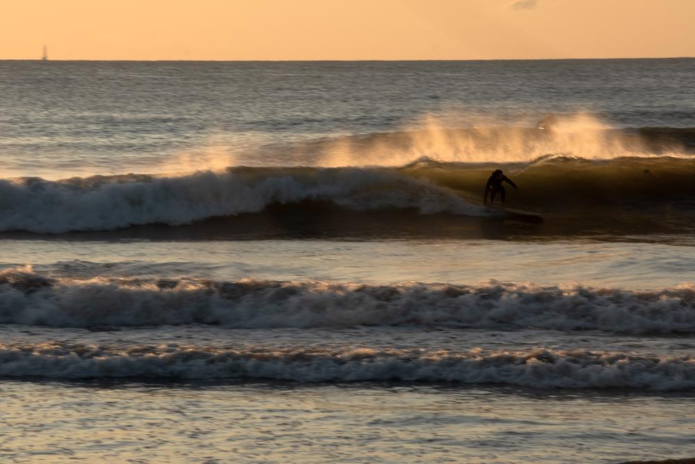 Grain's Root Surfboard in action