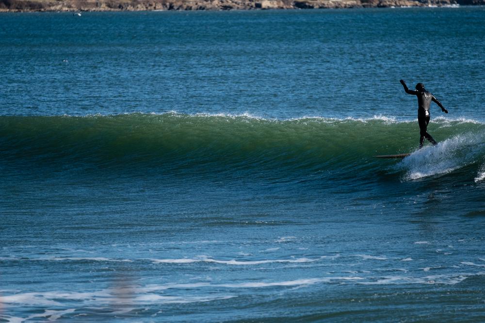 Grain's Root Surfboard
