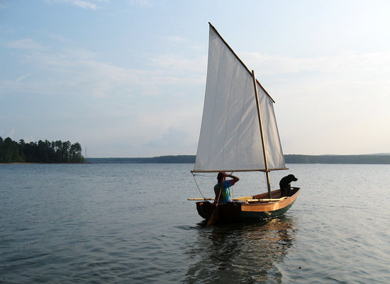Passagemaker sailing with dog