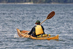 Petrel Play Thumbnail