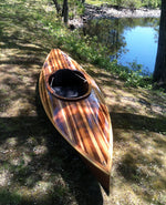 Wood Duck 10 Hybrid Thumbnail