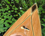 Wood Duck 10 Hybrid Thumbnail
