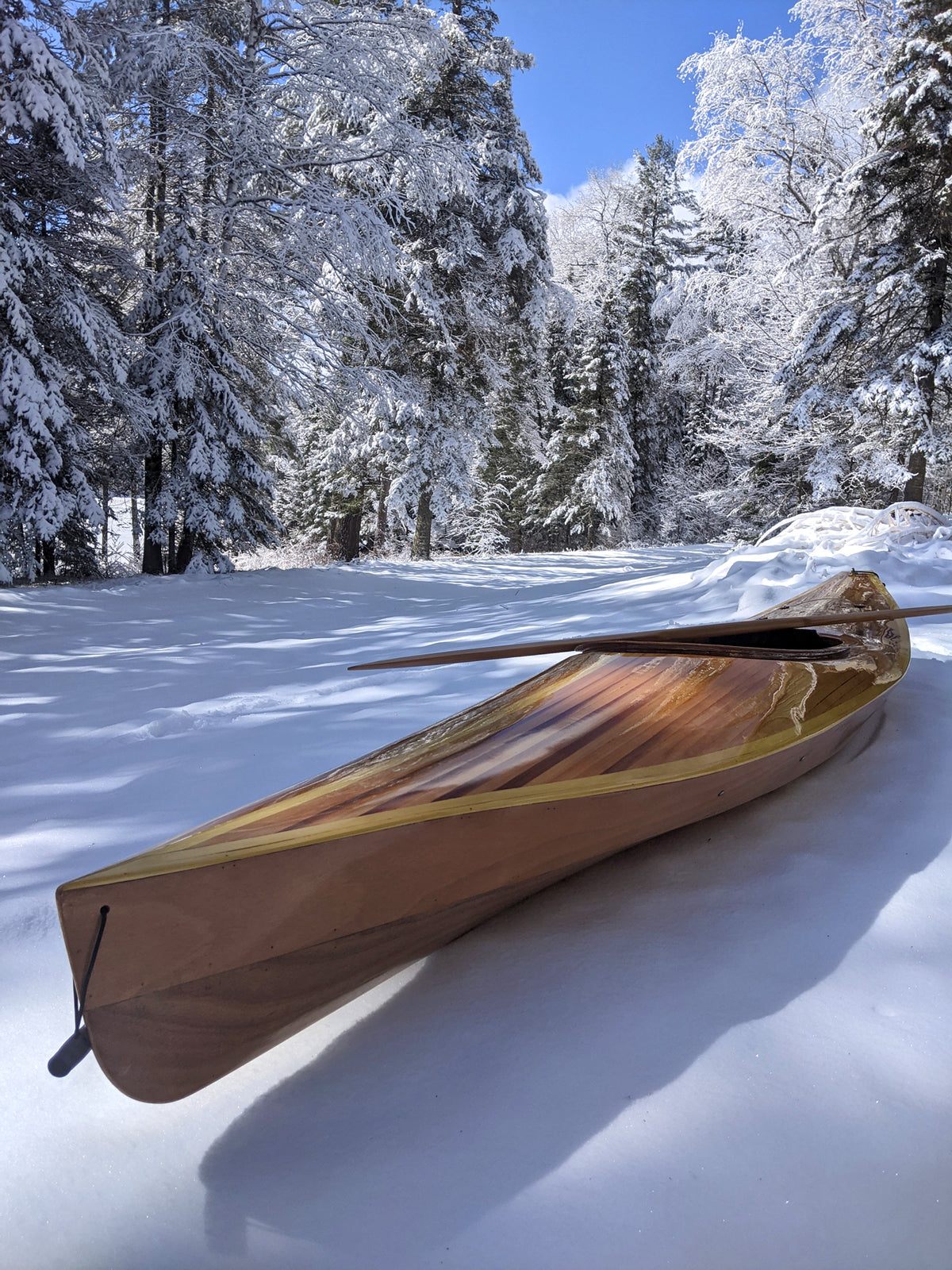 A Wood Duck 12 Hybrid built by Reg B. set in a snowy landscape