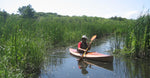 Wood Duck 10 Thumbnail