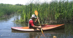 Wood Duck 10 Thumbnail