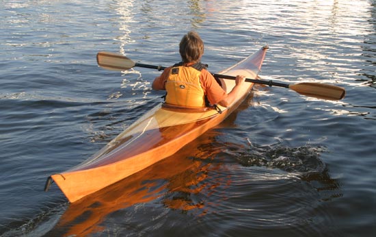 Shearwater 16 Hybrid