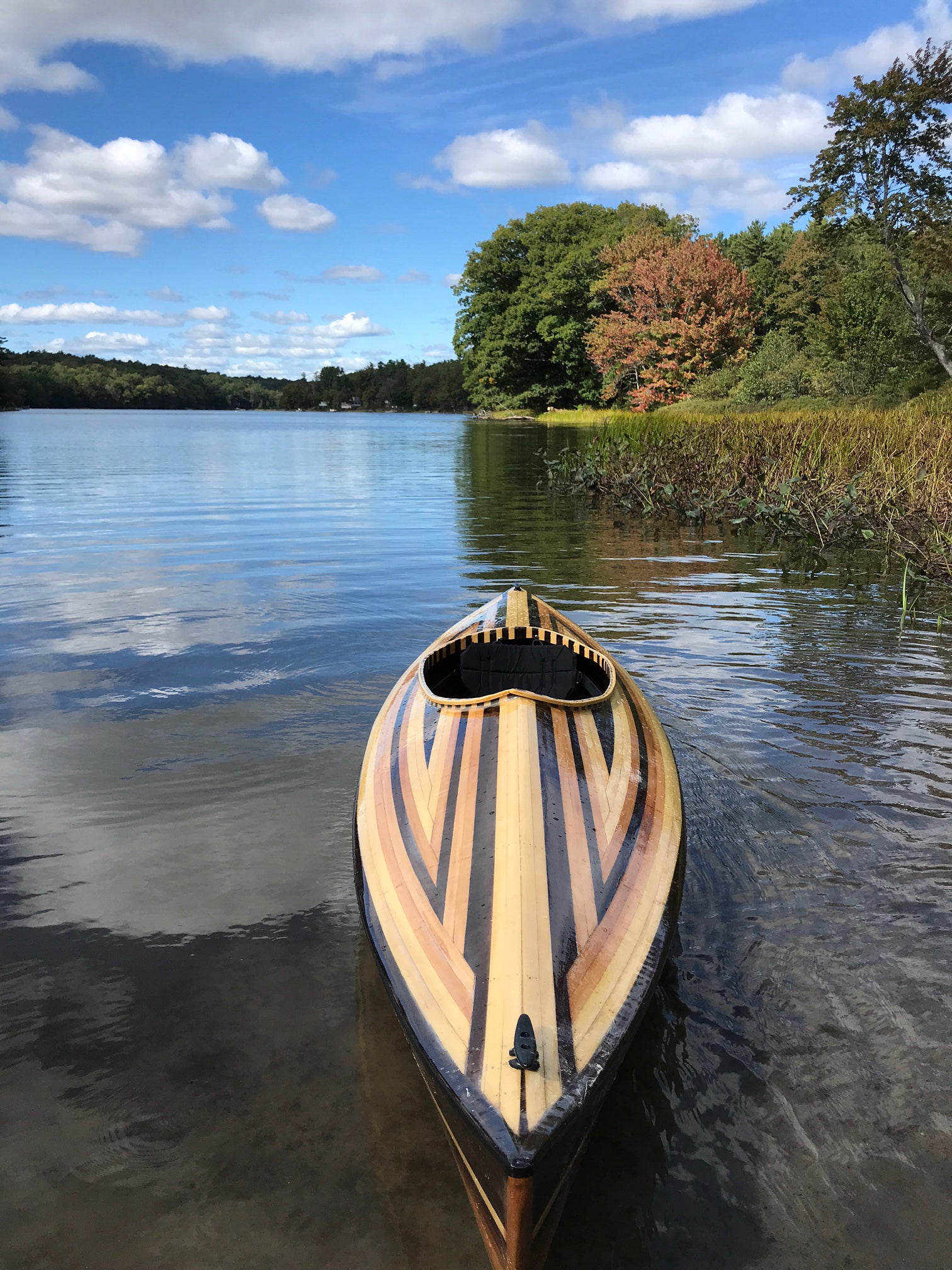 Little Auk 11 built by Niam R.