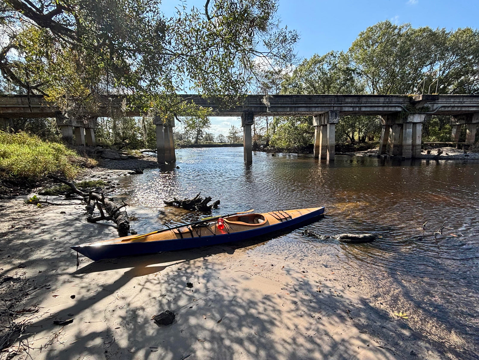 Chesapeake 16 built by Randy B. 