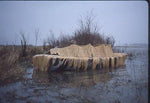 Is it a grass sofa, or a well-disguised Cackler 14? Thumbnail