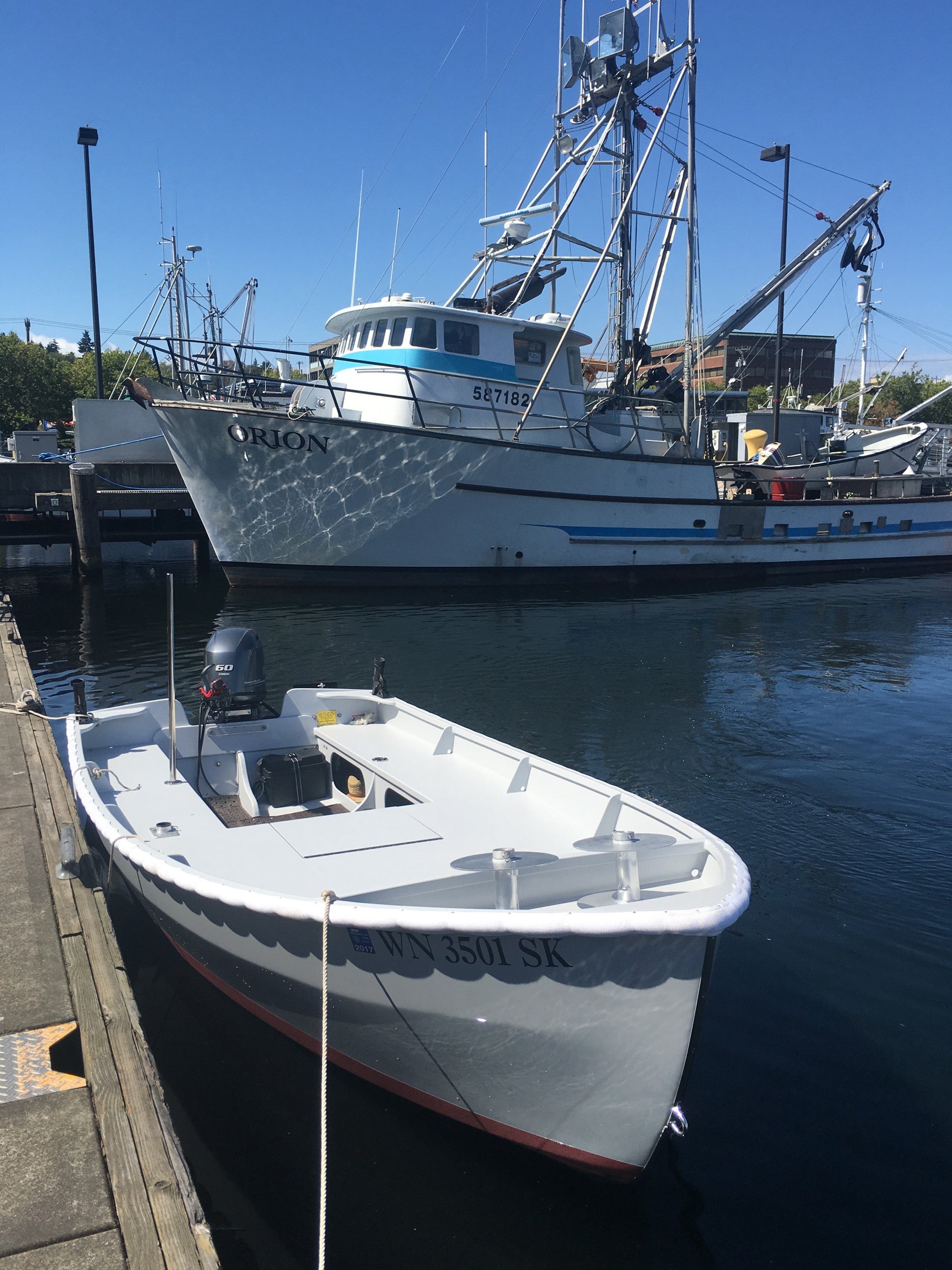 Candlefish 16
