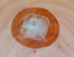 Footbrace Mounting Kit  (FMK) Thumbnail