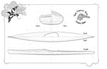 Great Auk 17 kayak plans drawing page 1 Thumbnail