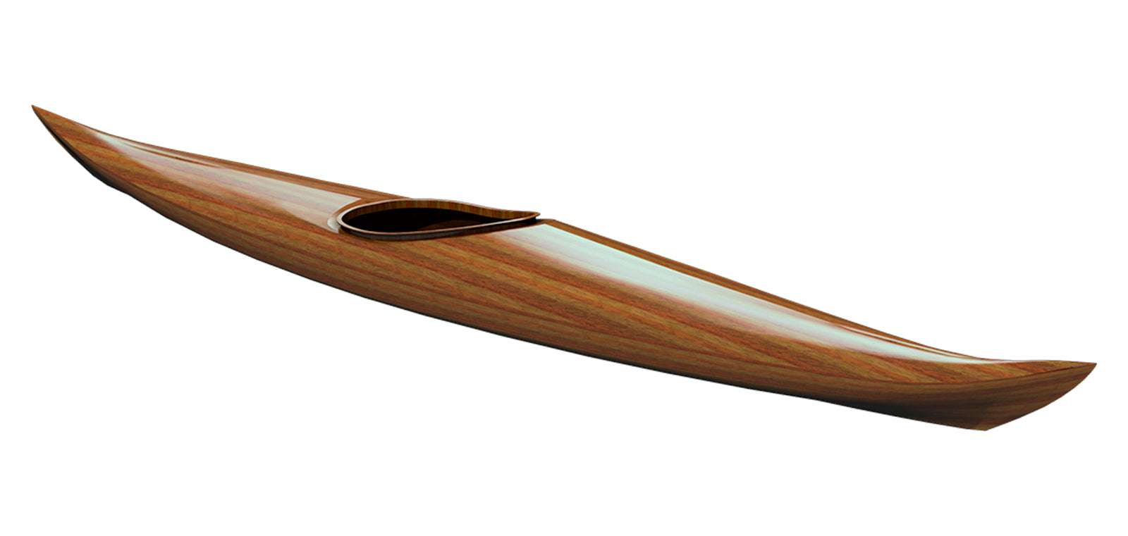 Guillemot profile rendering