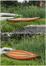 Two views of a colorfully stripped Little Auk 11 built by Bill N. Thumbnail