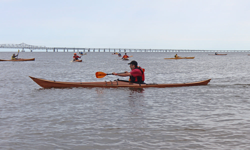 Petrel built by Dan T.