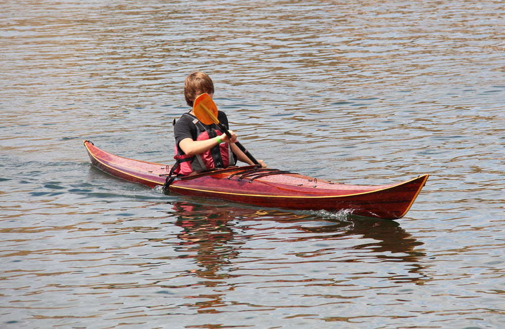 Petrel seen at our Sacramento demo day at Lake Natoma, CA