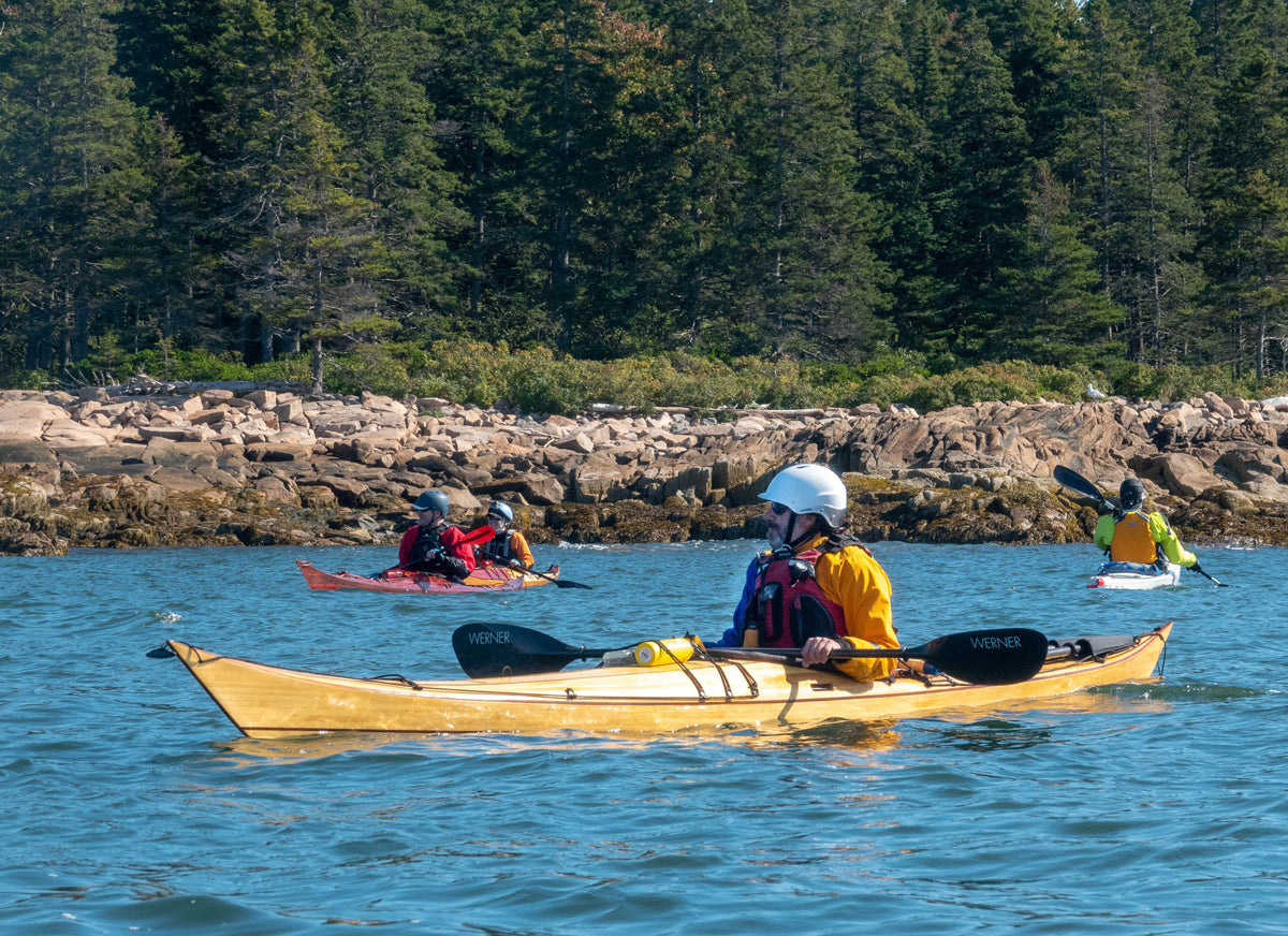 Petrel built by Dan T.