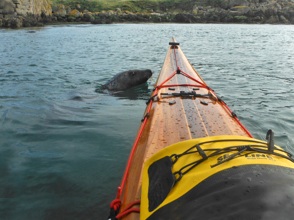 Petrel built by Roger W, seen near Dublin, Ireland