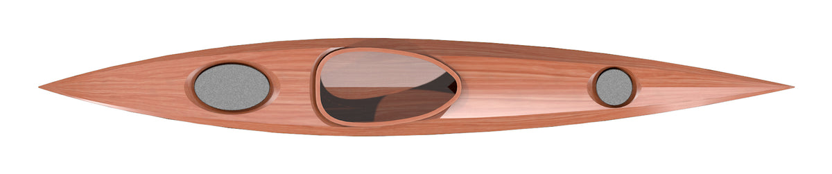 Petrel Play SGL 3D redering, top profile.