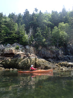 Petrel Scout SG Thumbnail