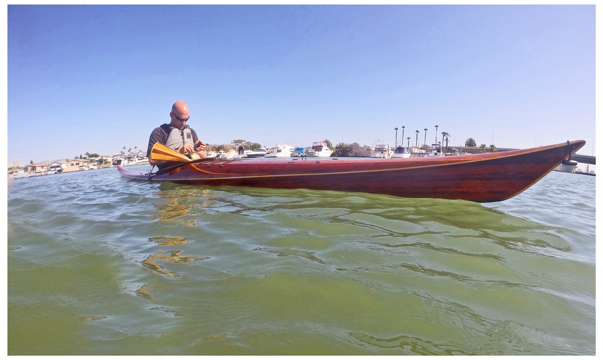 Petrel seen paddling the inlet at Newport Beach, CA.