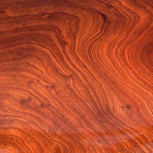 Premium Sapele - Marine Plywood