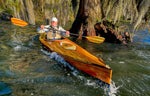 Wood Duck 12 Hybrid Thumbnail