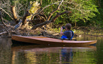 Wood Duck 10 Thumbnail