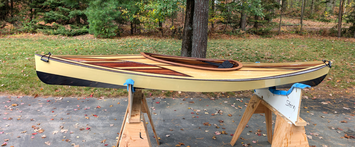 Wood Duck 10 Hybrid built by David S.