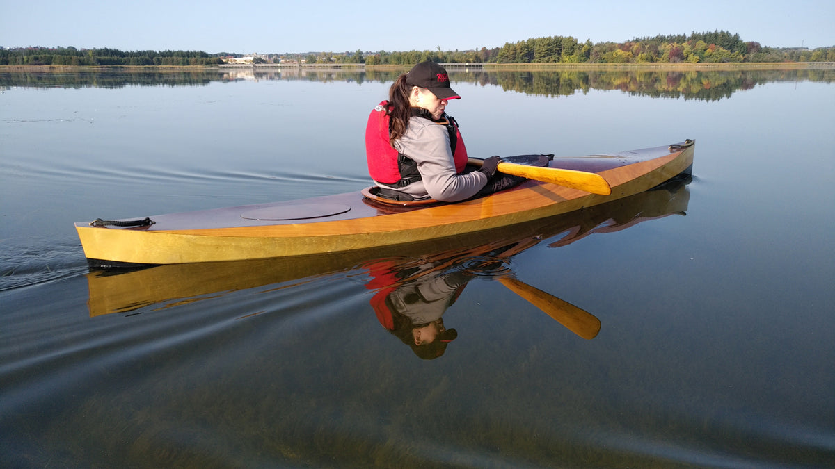 Wood Duck 12 built by David D.