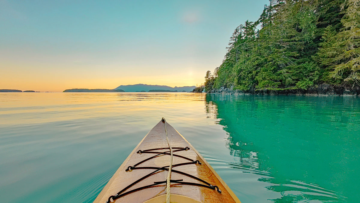 Wood Duck 12 on Barkley Sound, BC Canada