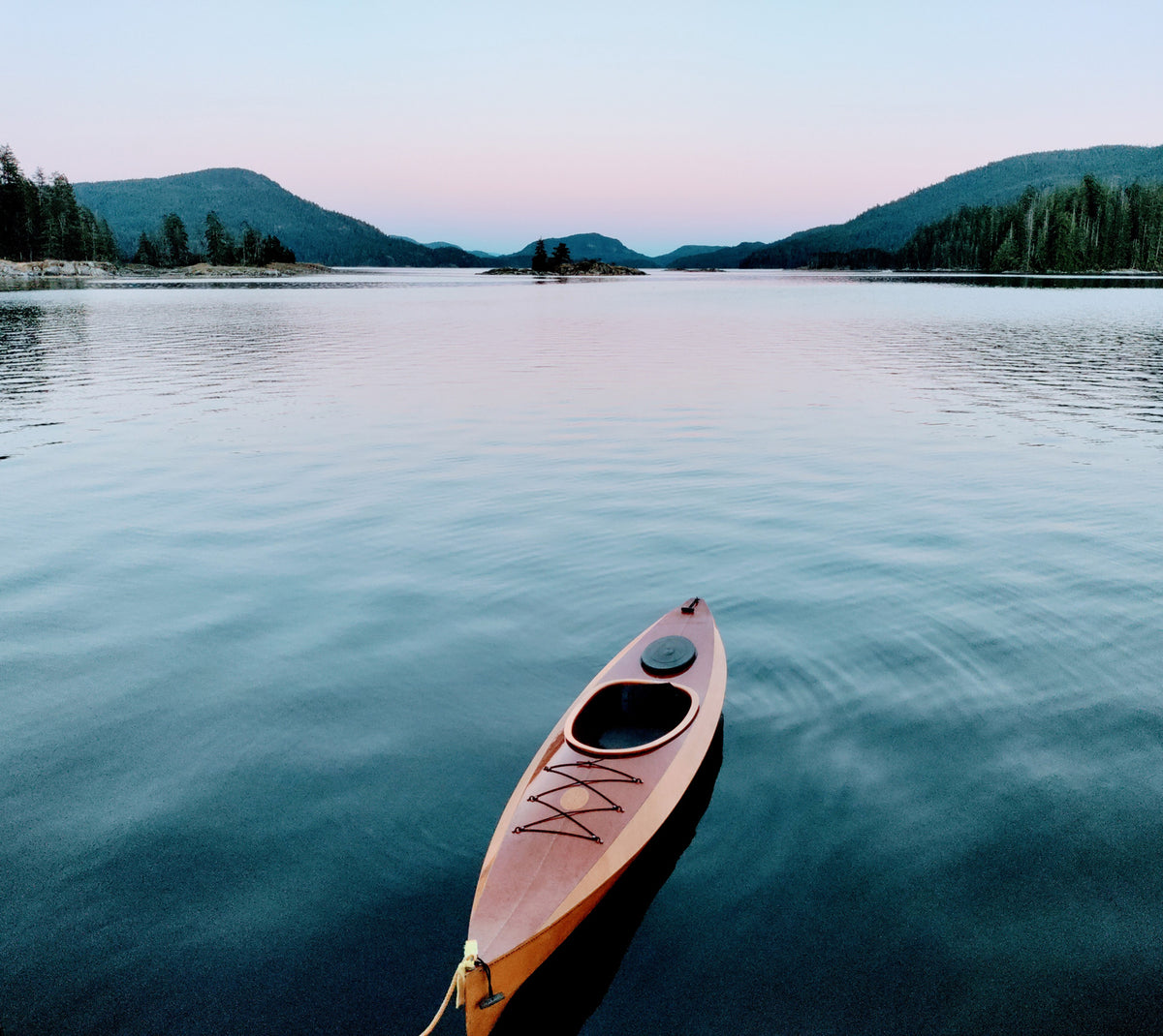 Wood Duck 12 on Octopus Island, BC Canada