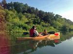 Wood Duck Double Thumbnail