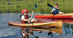 Wood Duckling 8 Thumbnail