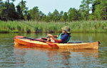Wood Duck 12 Thumbnail
