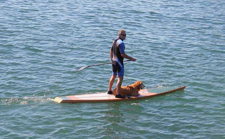 Kaholo Stand-Up Paddleboard - Build Your Own Boat